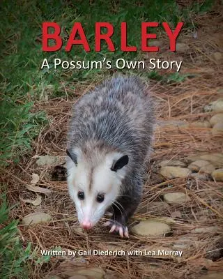 Jačmeň, vlastný príbeh vačkovca - Barley, a Possum's Own Story