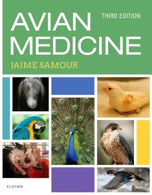 Vtáčia medicína - Avian Medicine
