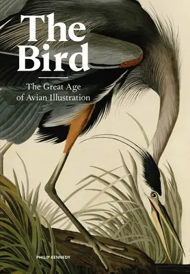 Vták: Veľký vek vtáčej ilustrácie - The Bird: The Great Age of Avian Illustration