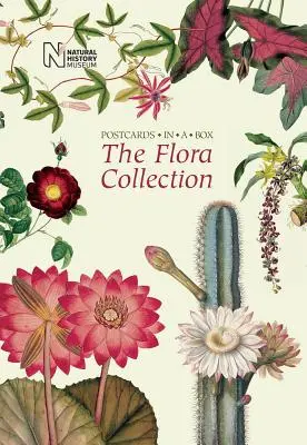 Kolekcia flóry: Pohľadnice v krabici - The Flora Collection: Postcards in a Box