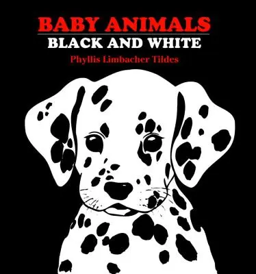 Detské zvieratká: Čiernobiele zvieratká - Baby Animals: Black and White