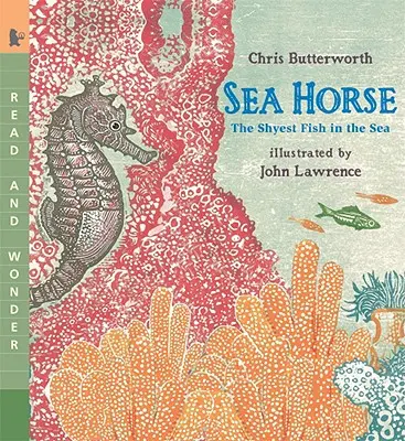 Morský koník: najplachšia ryba v mori - Sea Horse: The Shyest Fish in the Sea