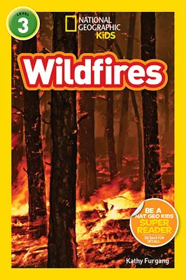 Divoké požiare - Wildfires