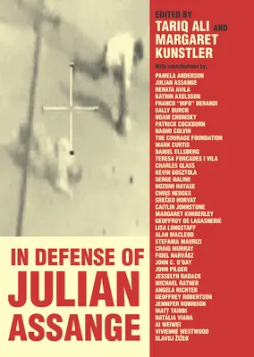 Na obranu Juliana Assangea - In Defense of Julian Assange