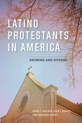 Latinskoamerickí protestanti v Amerike: Rastúci a rôznorodý - Latino Protestants in America: Growing and Diverse
