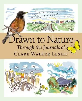 Priťahuje sa k prírode: Vtiahnutá do prírody: Denníky Clare Walker Leslieovej - Drawn to Nature: Through the Journals of Clare Walker Leslie