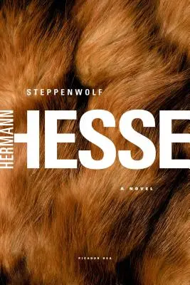 Stepný vlk - Steppenwolf