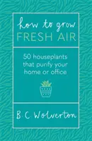 Ako vypestovať čerstvý vzduch - 50 izbových rastlín na prečistenie vášho domova alebo kancelárie - How To Grow Fresh Air - 50 Houseplants To Purify Your Home Or Office