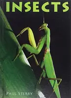Hmyz - Insects