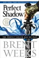 Dokonalý tieň - novela Nočný anjel - Perfect Shadow - A Night Angel Novella