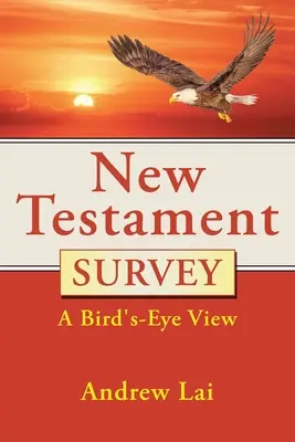 Prehľad Nového zákona: Pohľad z vtáčej perspektívy - New Testament Survey: A Bird's-Eye View