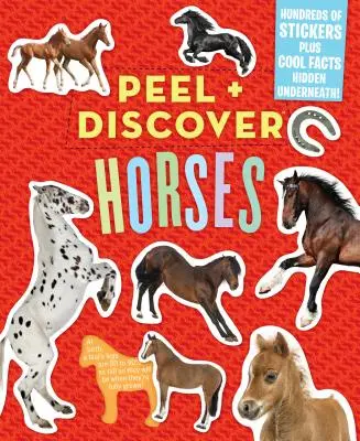 Odlep + objavuj: Horses - Peel + Discover: Horses
