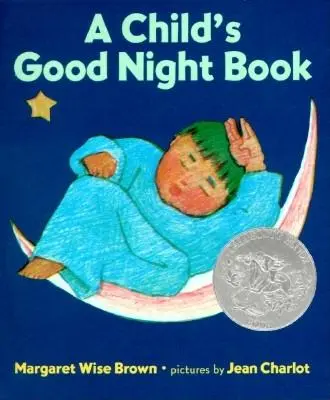 Detská knižka na dobrú noc Board Book - A Child's Good Night Book Board Book