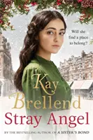 Zatúlaný anjel: absolútne srdcervúca vianočná sága - Stray Angel: an absolutely heart-rending Christmas saga