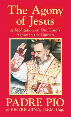 Ježišova agónia: V Getsemanskej záhrade - The Agony of Jesus: In the Garden of Gethsemane