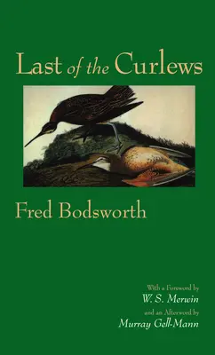 Posledný z kurucov - Last of the Curlews