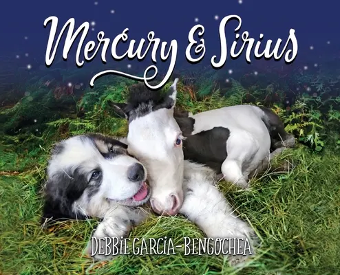 Merkúr a Sírius - Mercury & Sirius