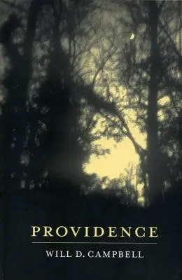 Prozreteľnosť. - Providence.
