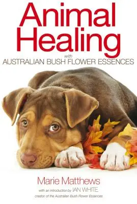 Liečenie zvierat pomocou esencií z austrálskych kvetov z kríkov - Animal Healing with Australian Bush Flower Essences