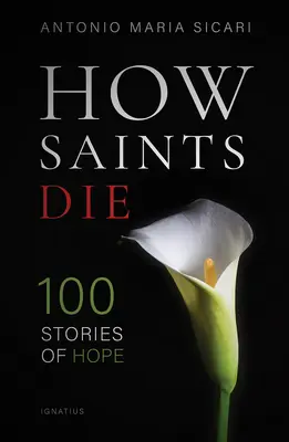 Ako svätí umierajú: 100 príbehov o nádeji - How Saints Die: 100 Stories of Hope