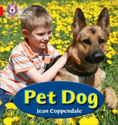 Domáci pes - Pet Dog