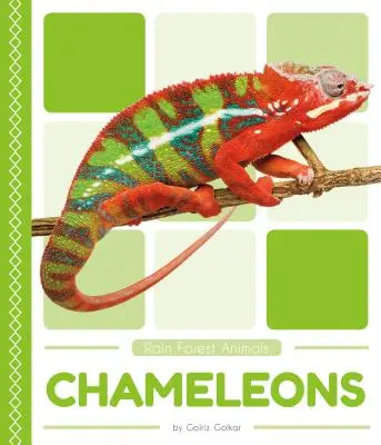 Chameleóny - Chameleons