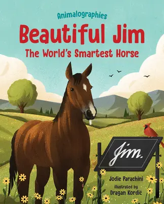 Krásny Jim: Najinteligentnejší kôň na svete - Beautiful Jim: The World's Smartest Horse