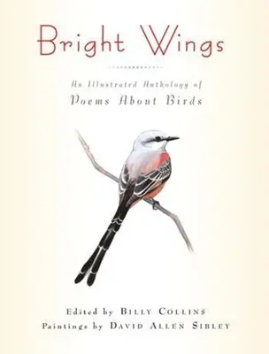 Bystré krídla: Ilustrovaná antológia básní o vtákoch - Bright Wings: An Illustrated Anthology of Poems about Birds
