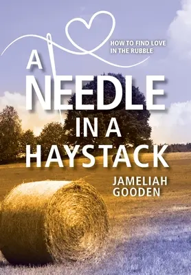 Ihla v kope sena: Ako nájsť lásku v sutinách - A Needle in a Haystack: How to Find Love in the Rubble