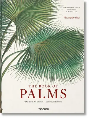 Martius. kniha paliem - Martius. the Book of Palms