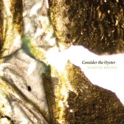 Zvážte ústrižok - Consider the Oyster