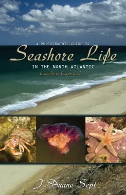 Fotografický sprievodca životom na pobreží severného Atlantiku: Od Kanady po Cape Cod - A Photographic Guide to Seashore Life in the North Atlantic: Canada to Cape Cod