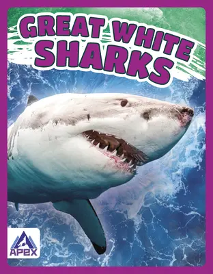 Veľké biele žraloky - Great White Sharks