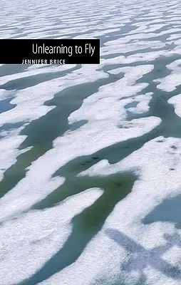 Odnaučiť sa lietať - Unlearning to Fly