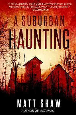 Strašidlá z predmestia: Extrémny psychologický horor - A Suburban Haunting: An Extreme Psychological Horror