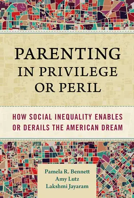 Rodičovstvo v privilégiu alebo v ohrození: Ako sociálna nerovnosť umožňuje alebo znemožňuje splnenie amerického sna - Parenting in Privilege or Peril: How Social Inequality Enables or Derails the American Dream