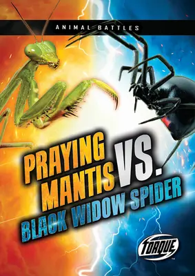 Kudlanka nábožná vs. pavúk čierna vdova - Praying Mantis vs. Black Widow Spider