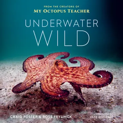 Podvodná divočina: Neobyčajný svet môjho učiteľa chobotníc - Underwater Wild: My Octopus Teacher's Extraordinary World