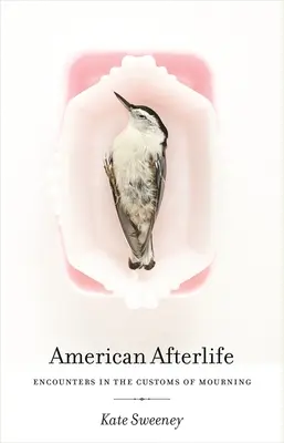 Americký posmrtný život: Stretnutia so zvyklosťami smútku - American Afterlife: Encounters in the Customs of Mourning