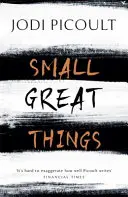 Malé veľké veci - bestseller, ktorý si nebudete chcieť nechať ujsť - Small Great Things - The bestselling novel you won't want to miss