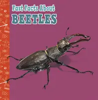Rýchle fakty o chrobákoch - Fast Facts About Beetles
