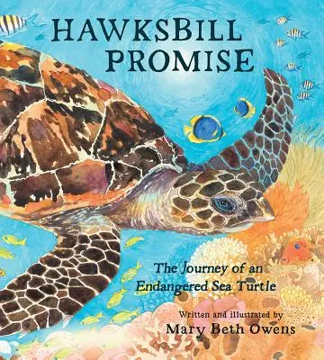Sľub jastrabov: Cesta ohrozenej morskej korytnačky - Hawksbill Promise: The Journey of an Endangered Sea Turtle