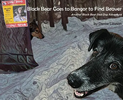 Čierny medveď ide do Bangoru hľadať bobra - Black Bear Goes to Bangor to Find Beaver