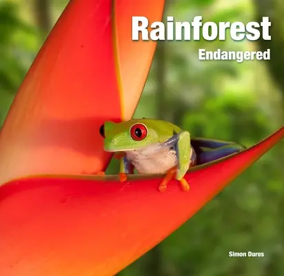 Dažďový prales: Ohrozený - Rainforest: Endangered