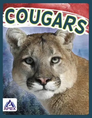Pumy - Cougars