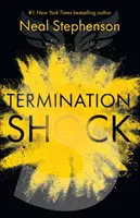 Šok z ukončenia - Termination Shock