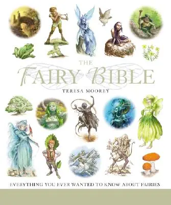 Biblia o vílach, 13: definitívny sprievodca svetom víl - The Fairy Bible, 13: The Definitive Guide to the World of Fairies
