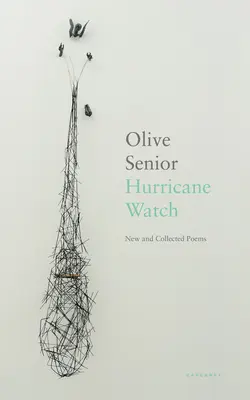 Hurikánová hliadka - Nové a zozbierané básne - Hurricane Watch - New and Collected Poems