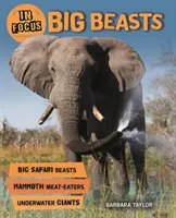 Zaostrené: Veľké šelmy - In Focus: Big Beasts