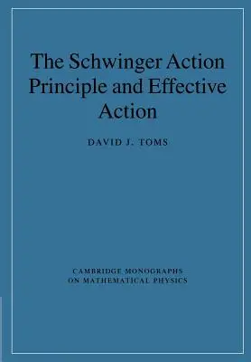 Schwingerov akčný princíp a efektívne konanie - The Schwinger Action Principle and Effective Action